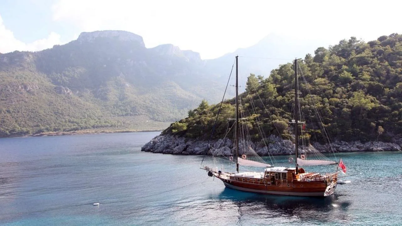 Чартер Sherm - 5