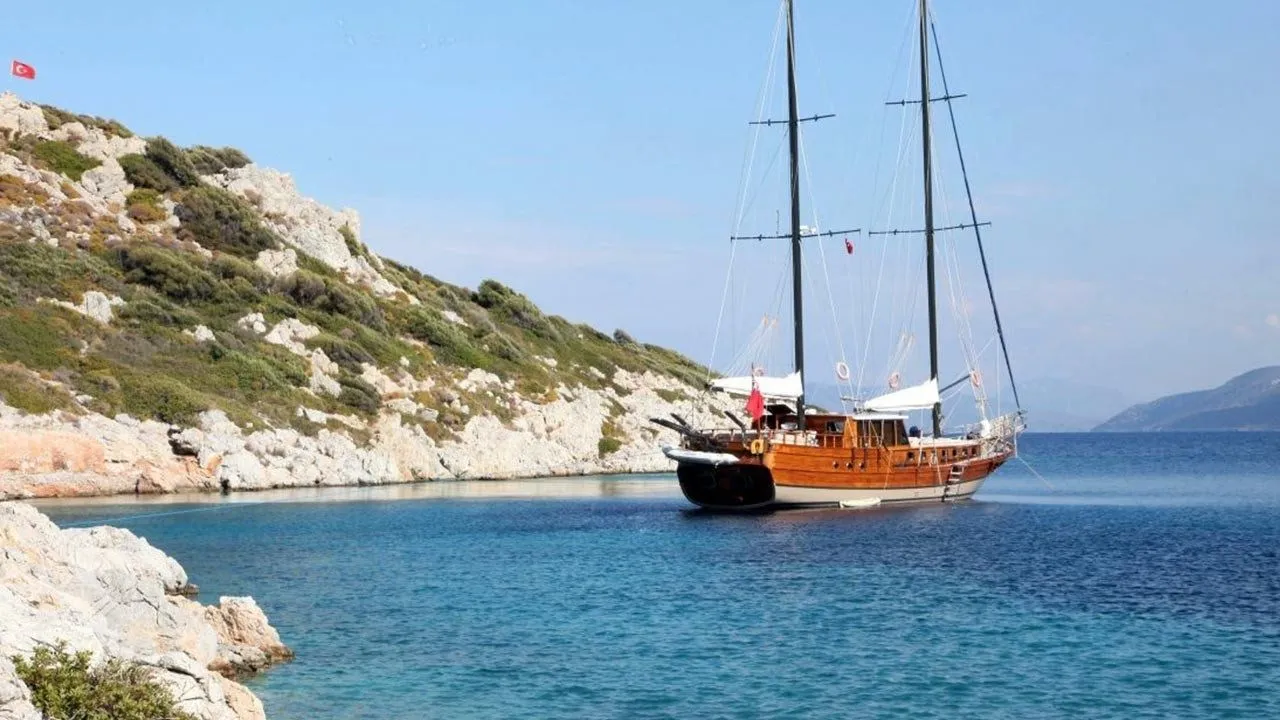 Чартер Sherm - 4