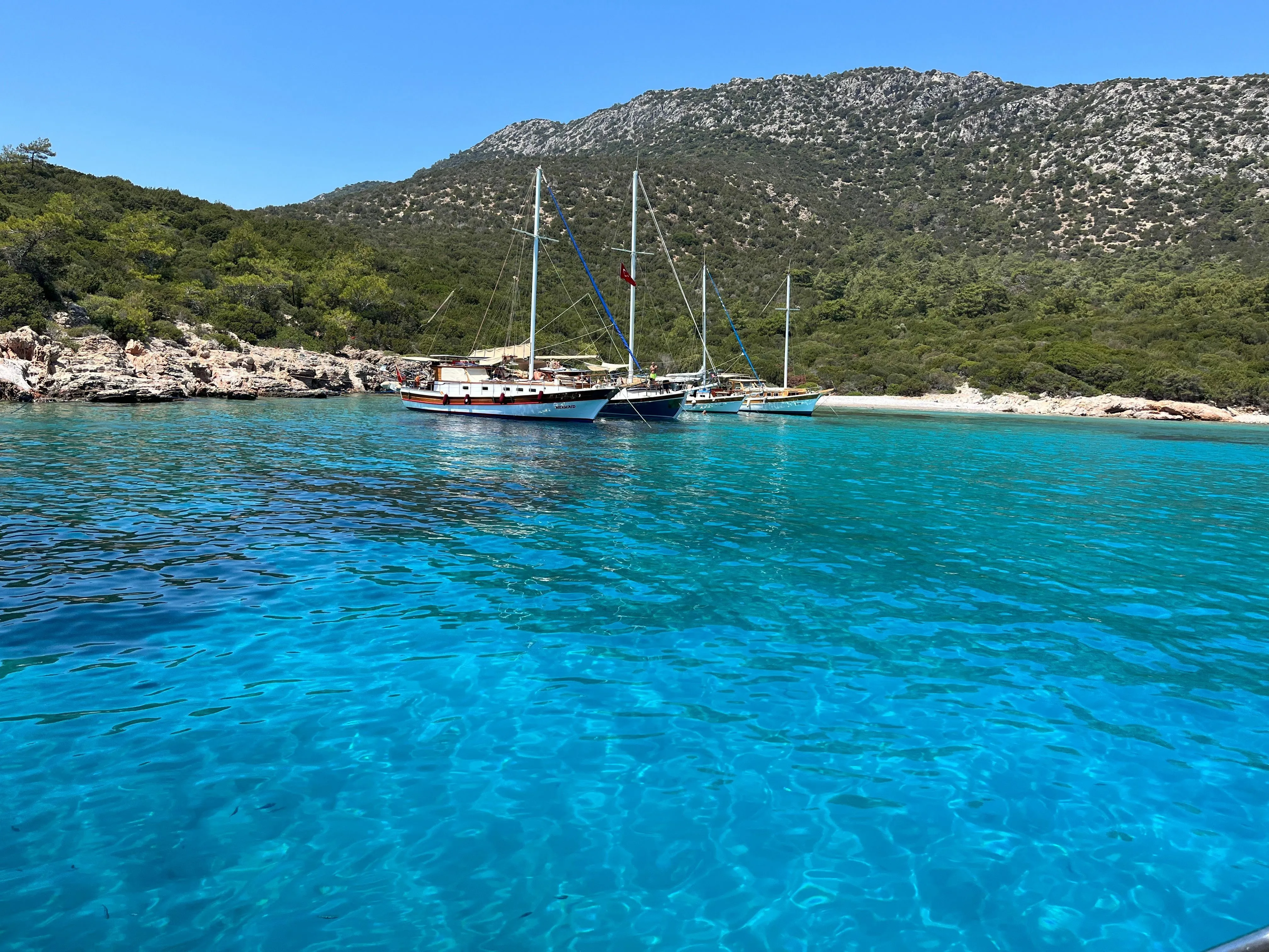 Чартер Su-3 - 5