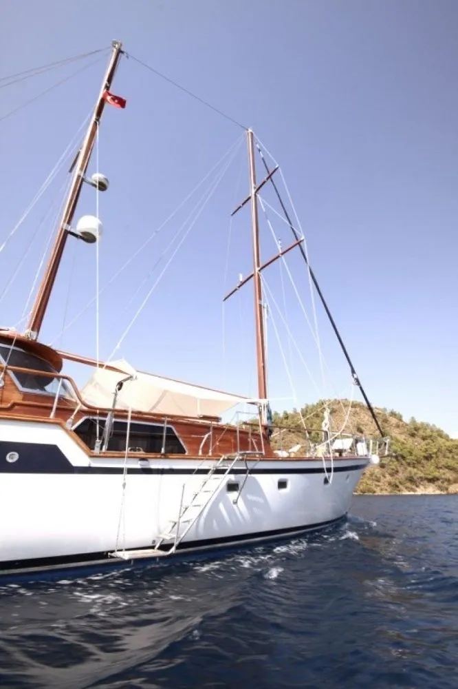 Чартер Wood - 5