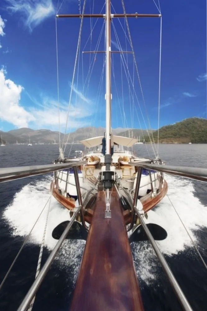 Чартер Wood - 4