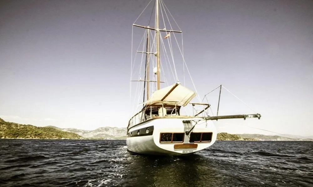 Чартер Wood - 3