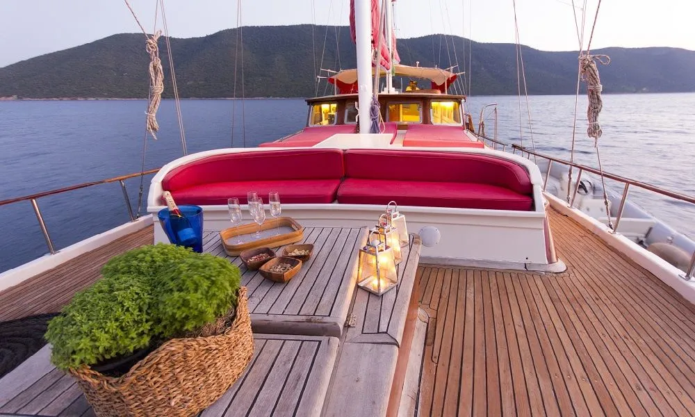 Cobra 3 Charterboot - 4