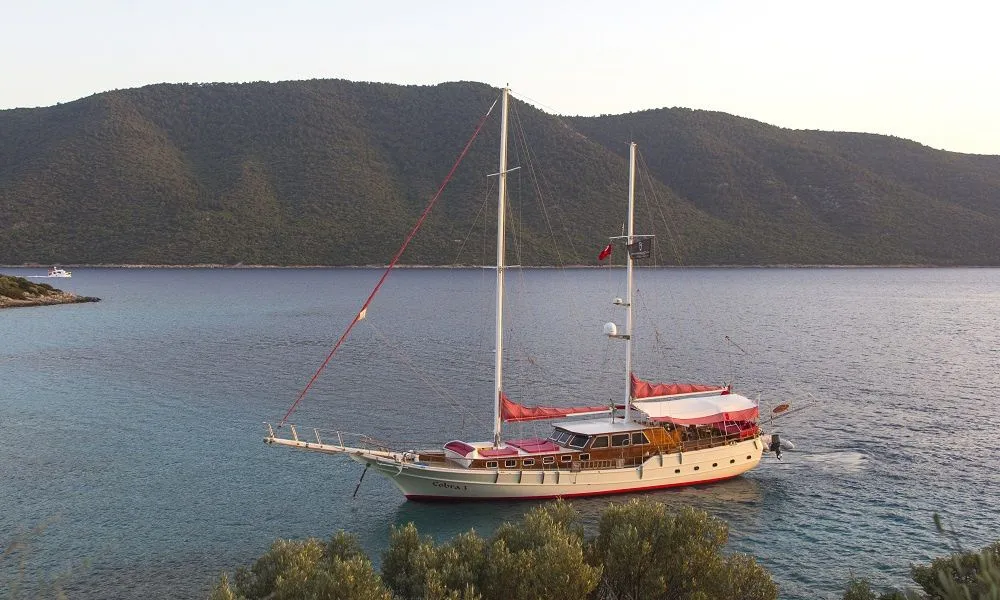 Cobra 3 Charterboot - 3