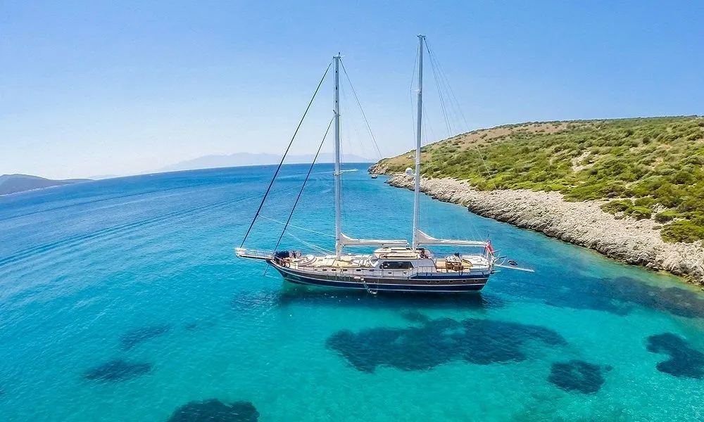 Artemis Charter Boat - 5