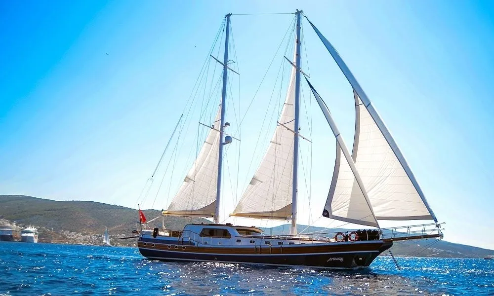 Чартер Artemis - 3