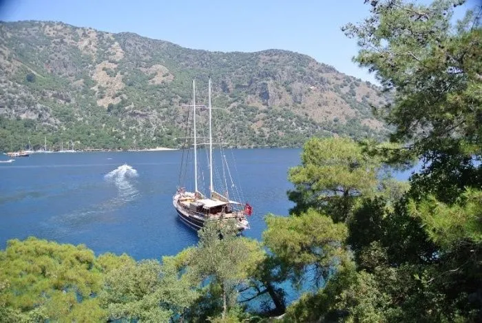 Чартер Biliz - 4