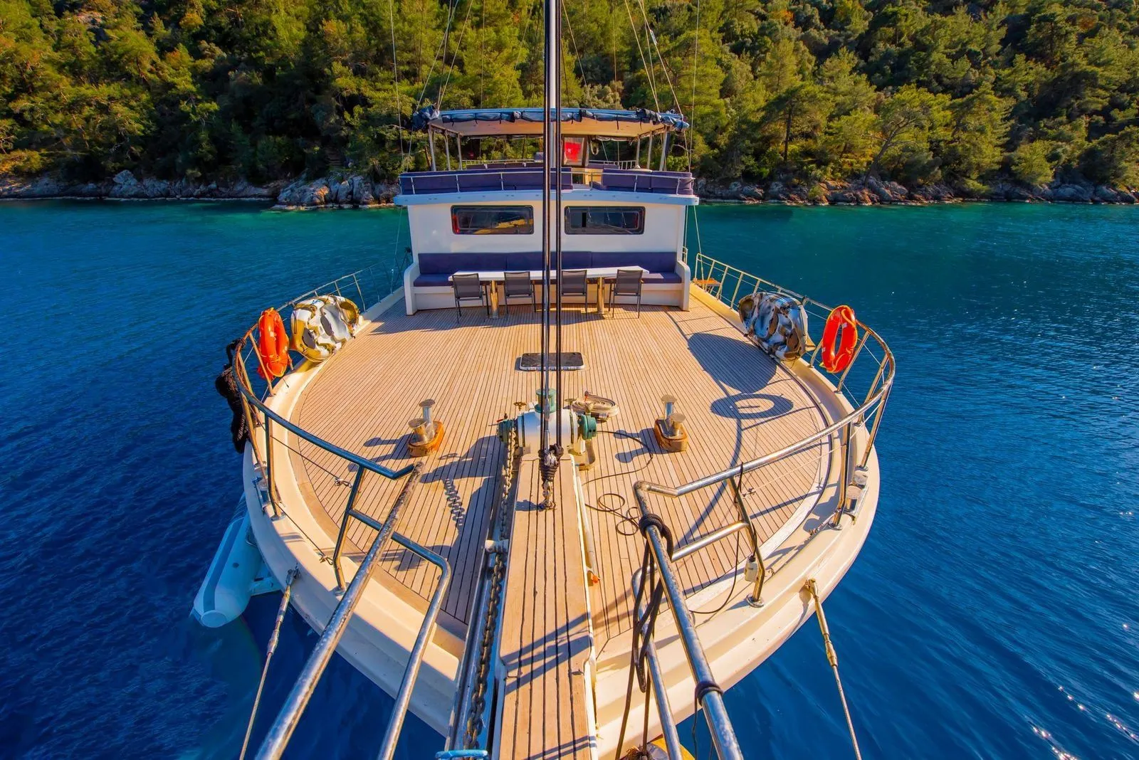 Чартер Buse by Frz - 4