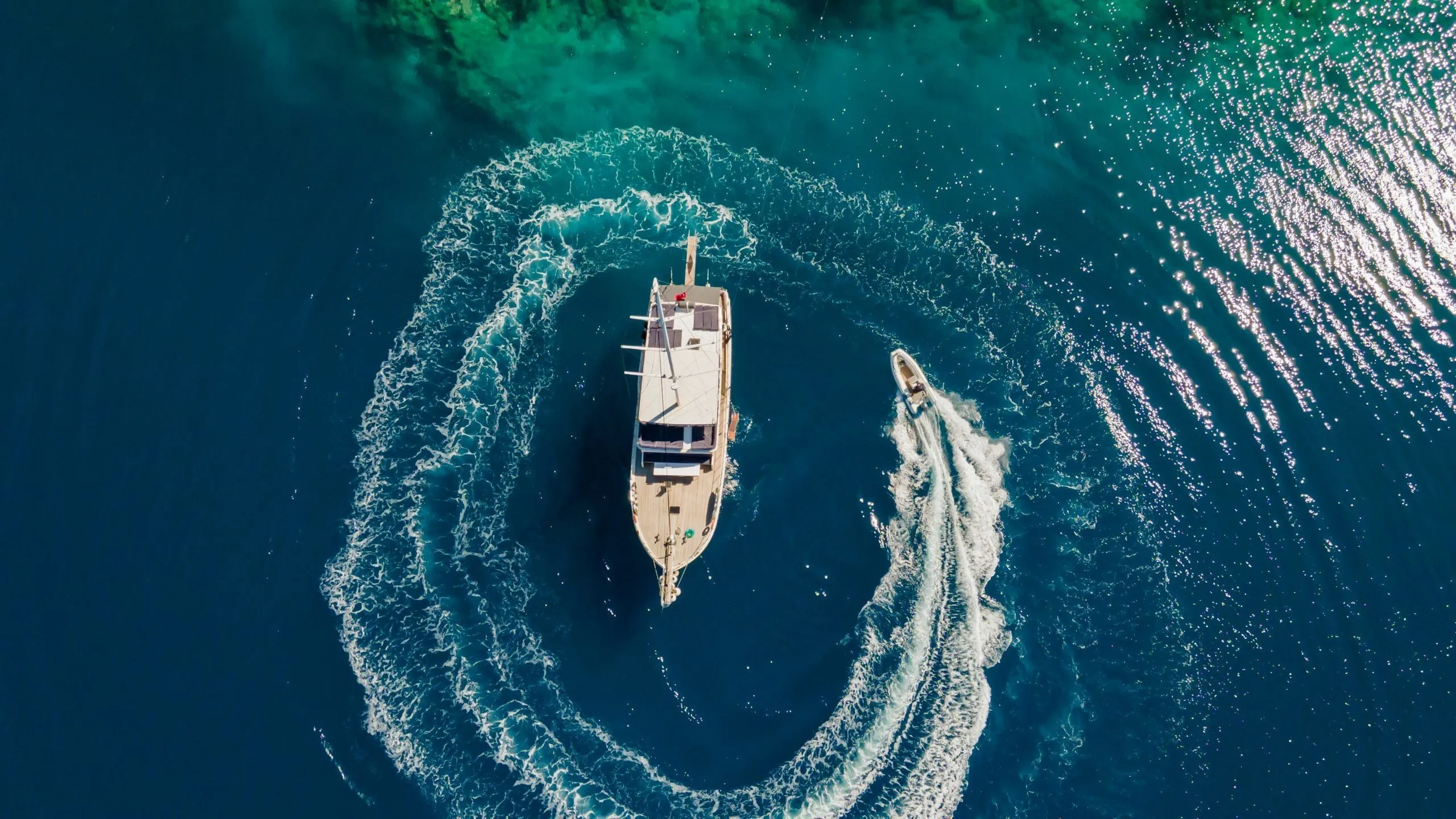 Чартер Buse by Frz - 5