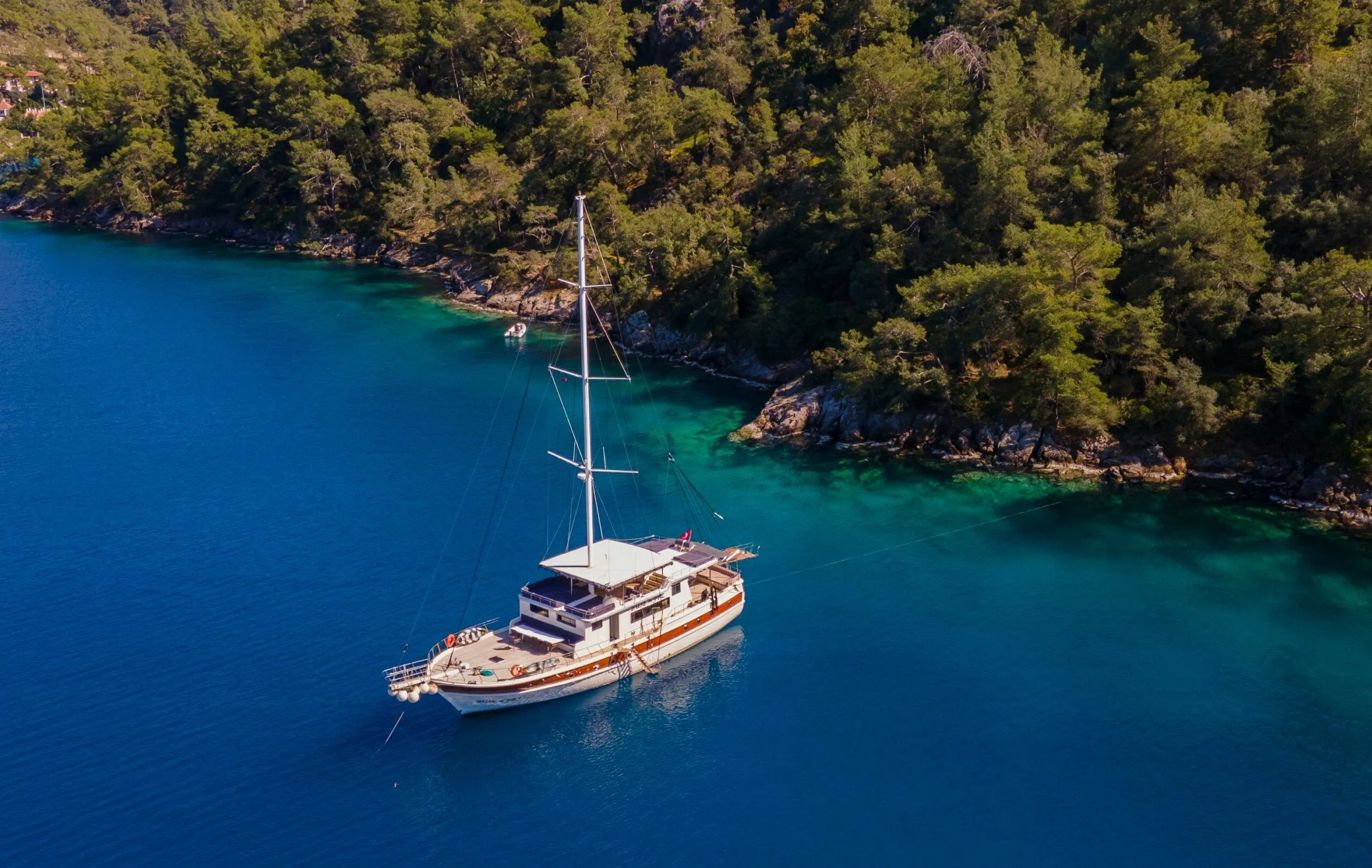 Чартер Buse by Frz - 3