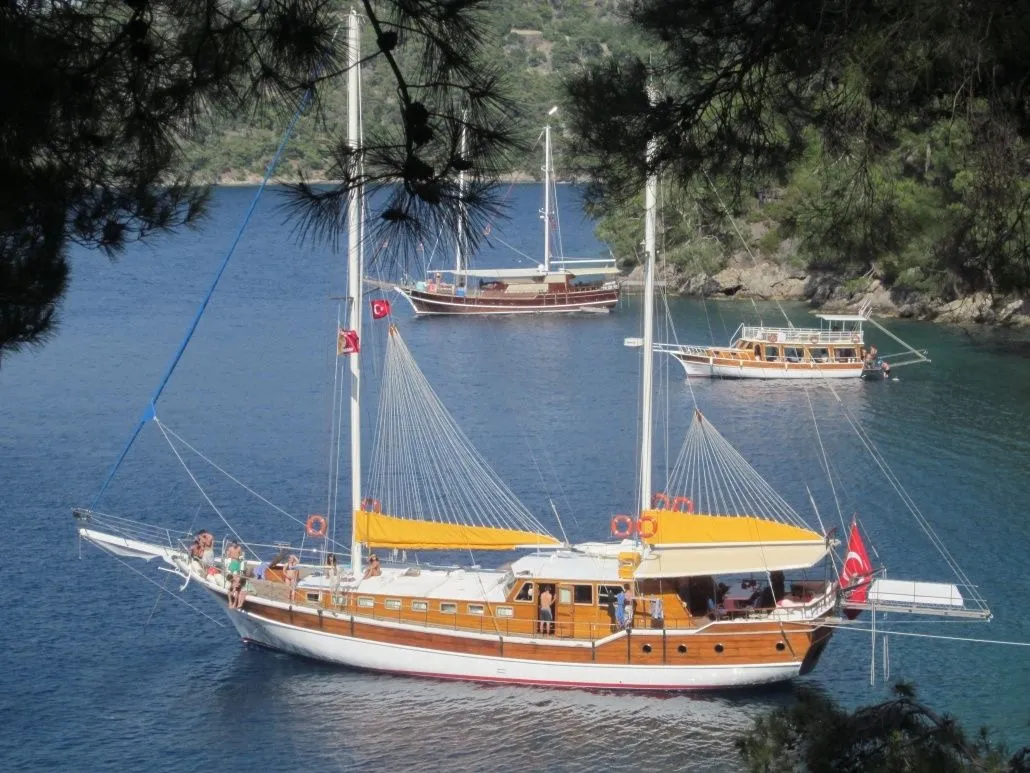 Чартер Cheers - 4