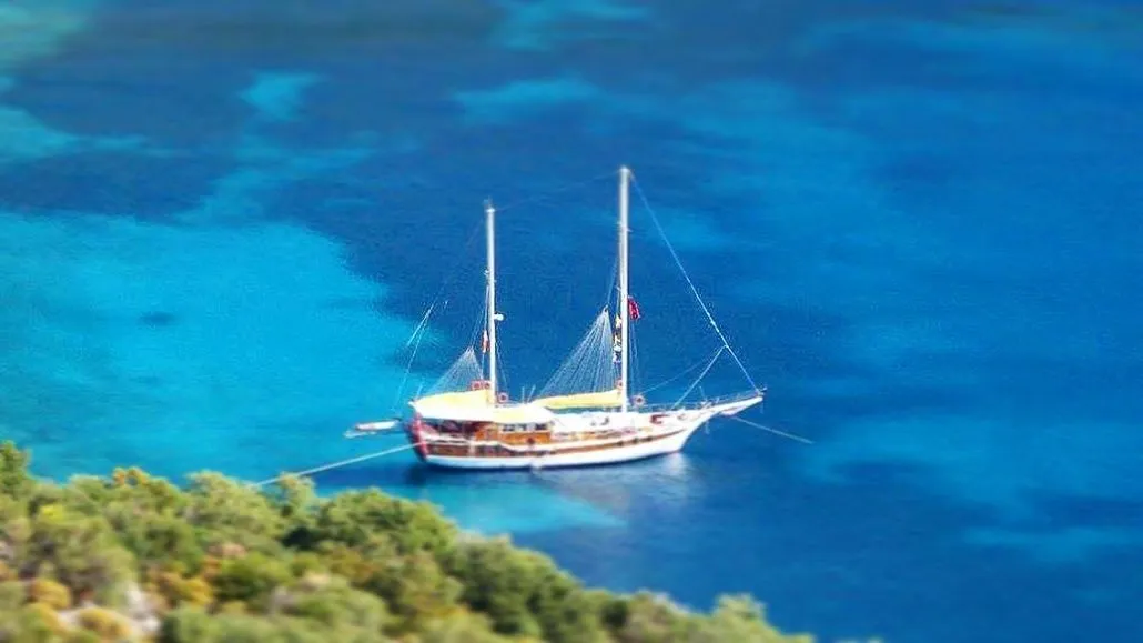 Чартер Cheers - 5