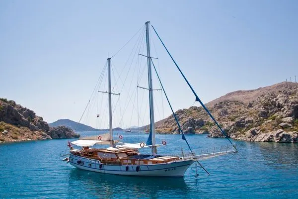 Чартер Mojo - 3