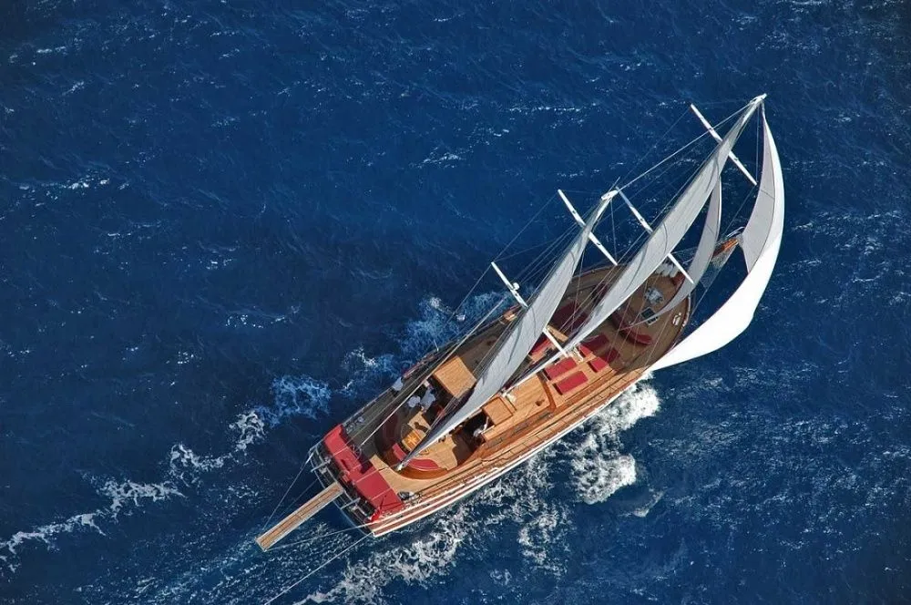 Why Not 2 Charter Boat - 3