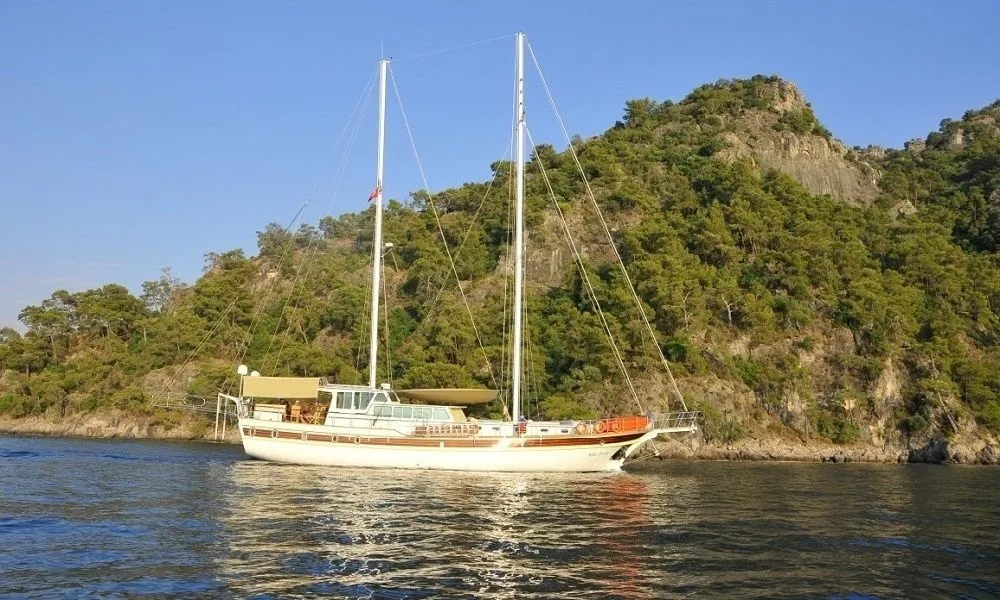 Чартер Ece Arina - 3