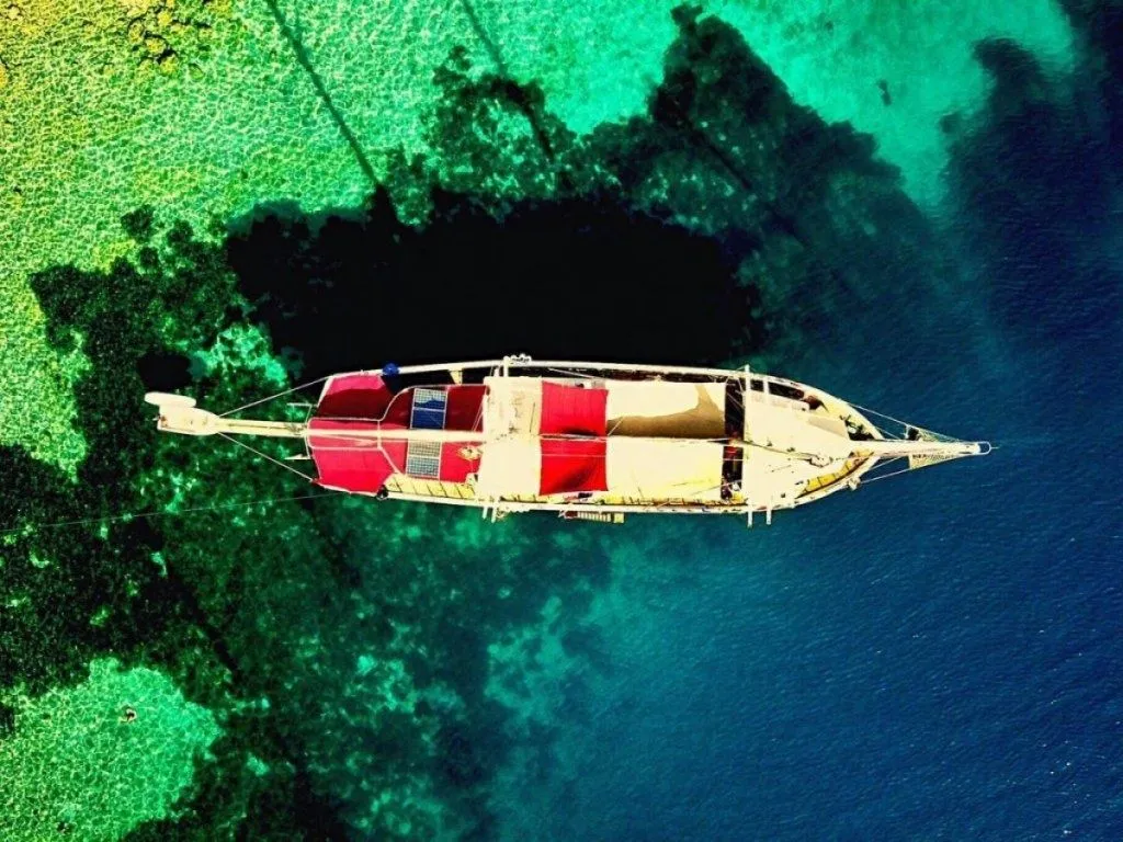 Kaptan Alper Charterboot - 5