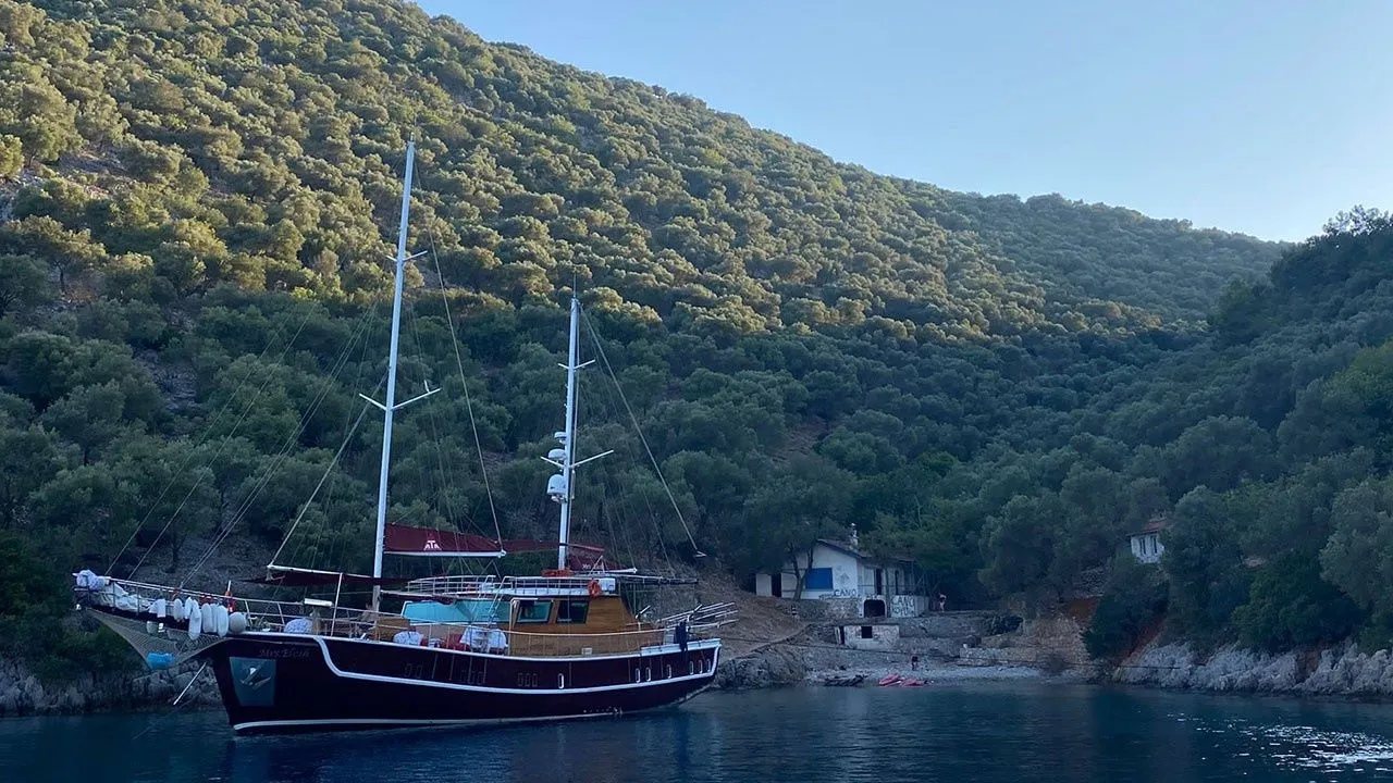 Чартер Mrs Elcih - 4