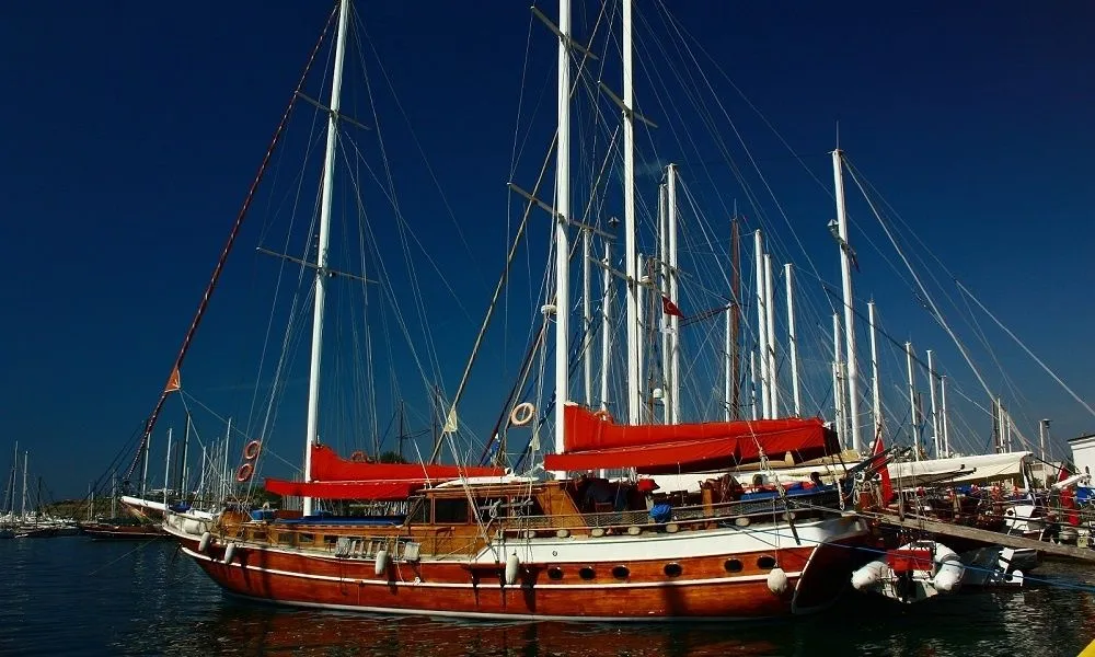Comez Charter Boat - 5