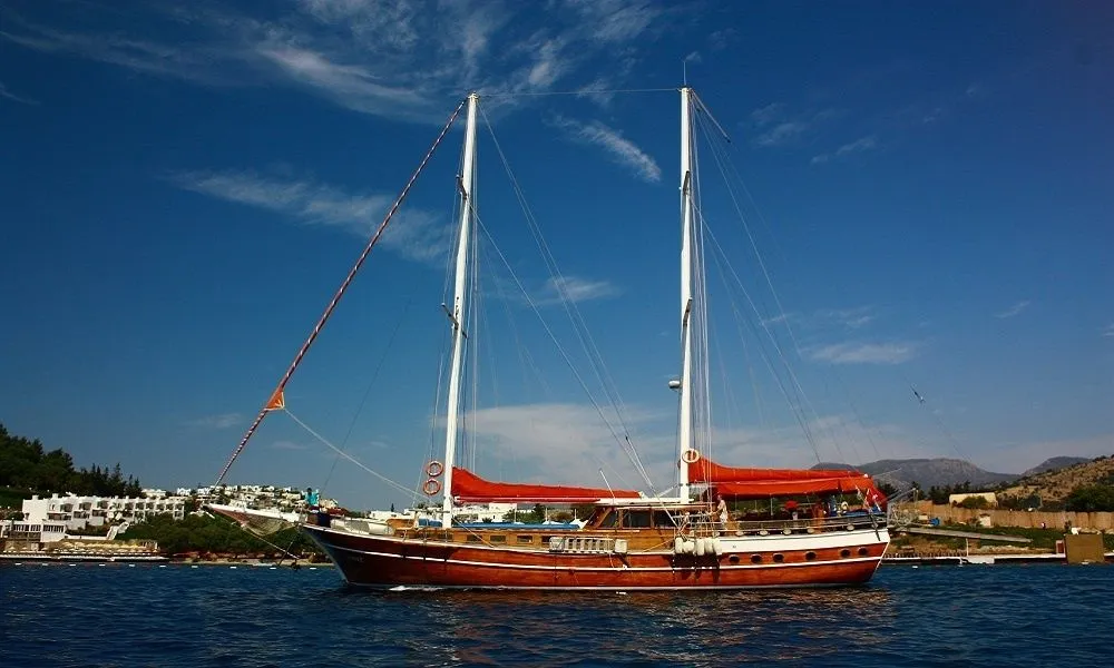 Чартер Comez - 3