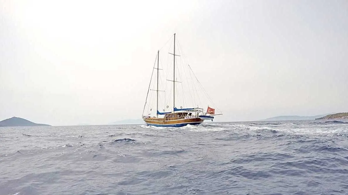 Laguna Charter Boat - 5