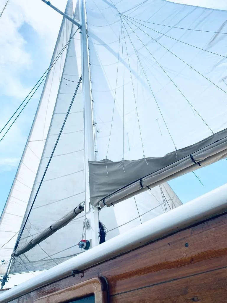 Explore Ibiza Town on a 25m Rental Gulet