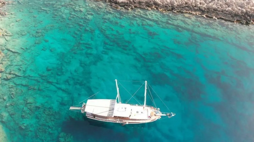 Чартер Revenge - 5