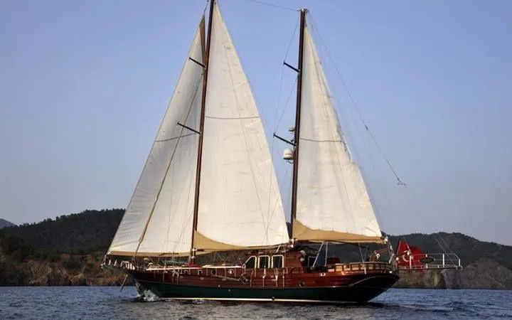 Чартер Mikado - 3