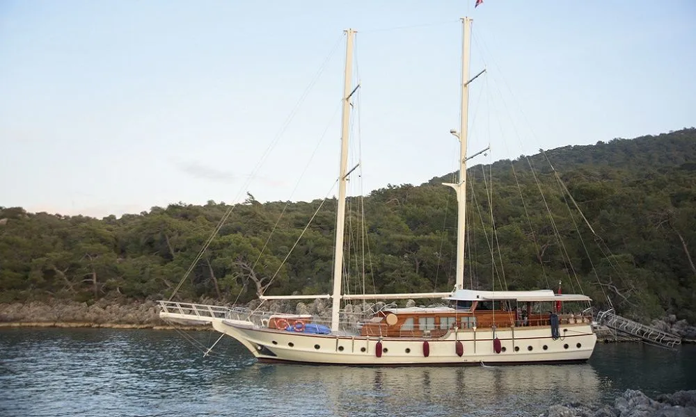 Чартер Pina - 3