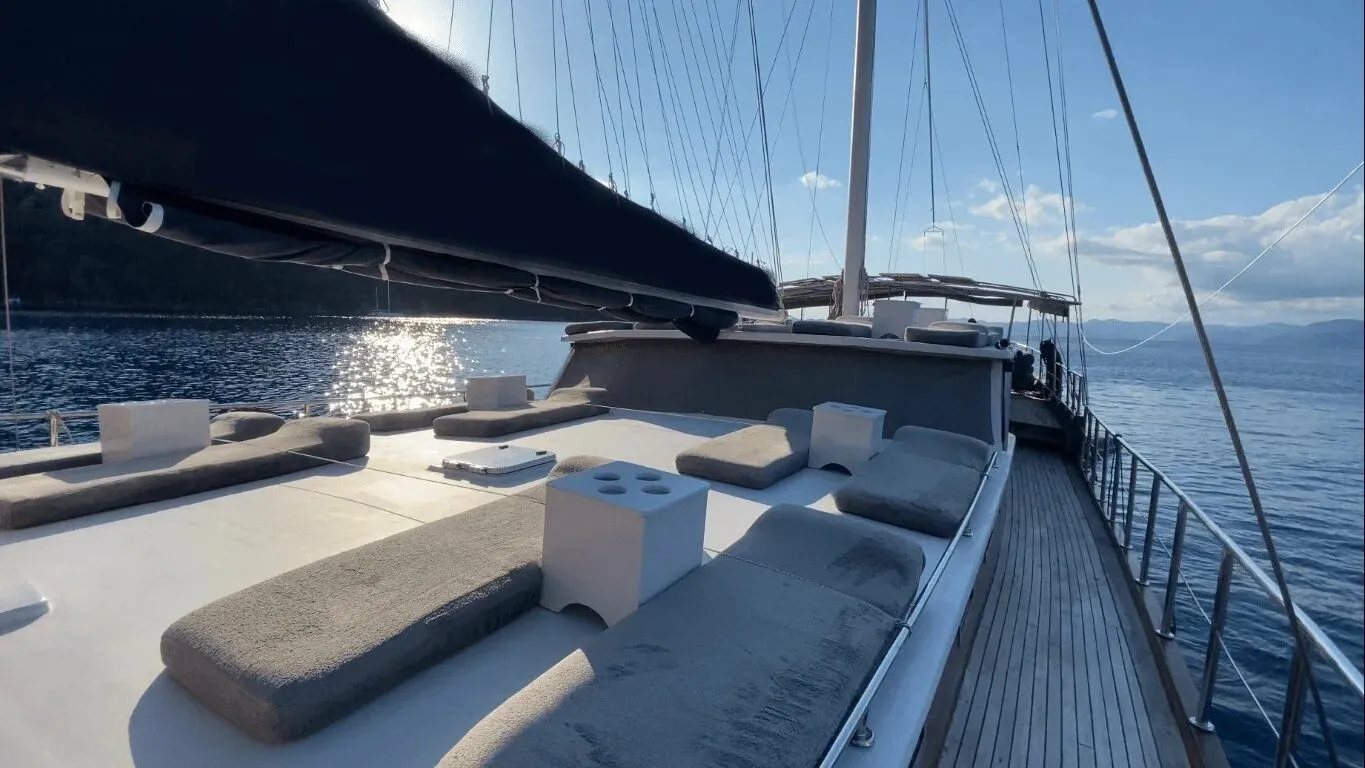 Чартер New Aria - 4