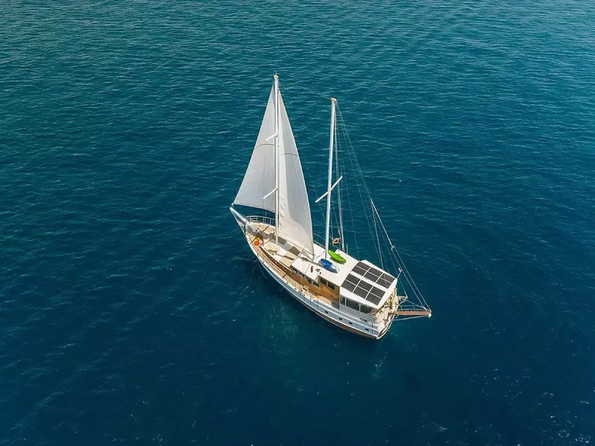 Sole Charter Boat