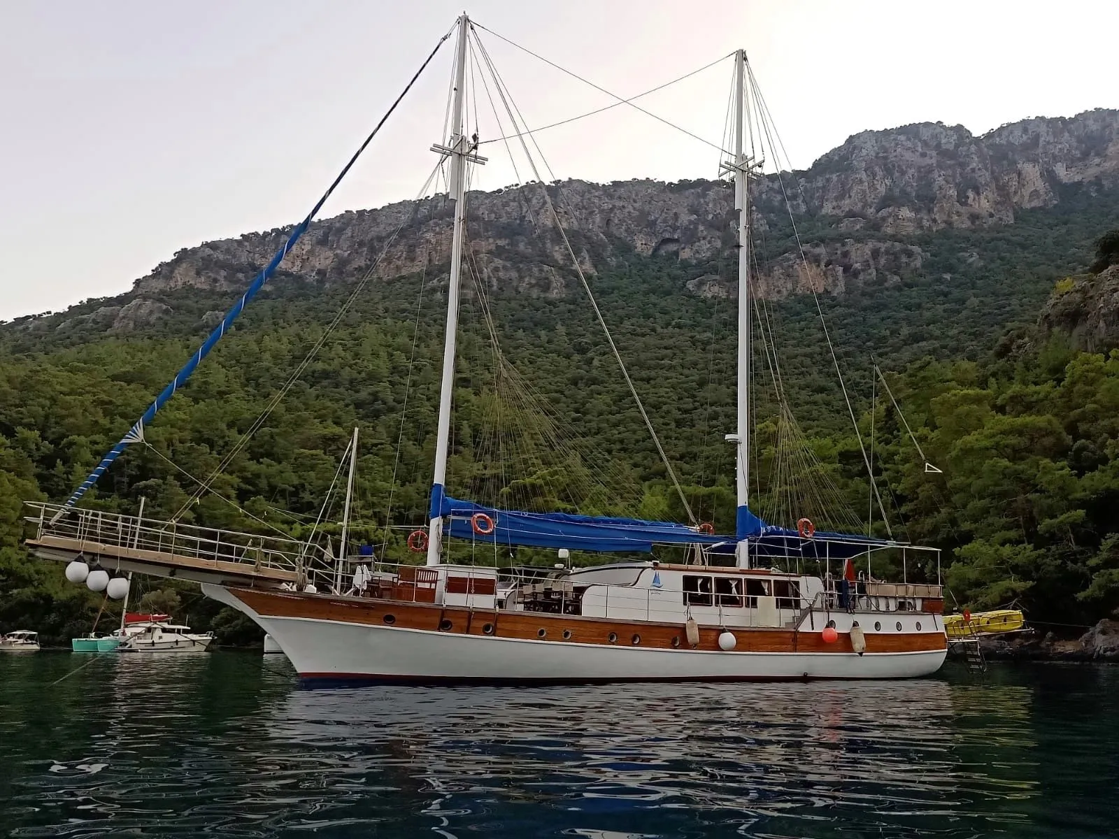 Чартер Feronia - 3