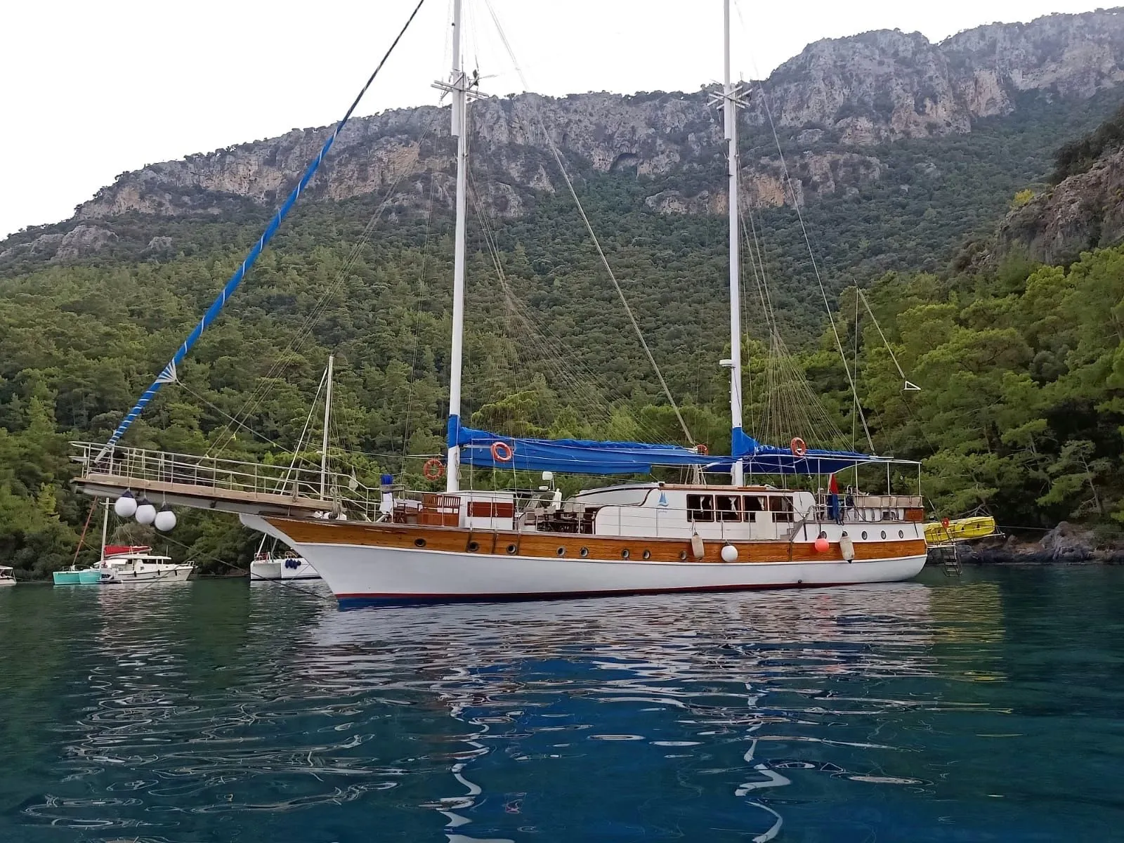 Чартер Feronia - 4