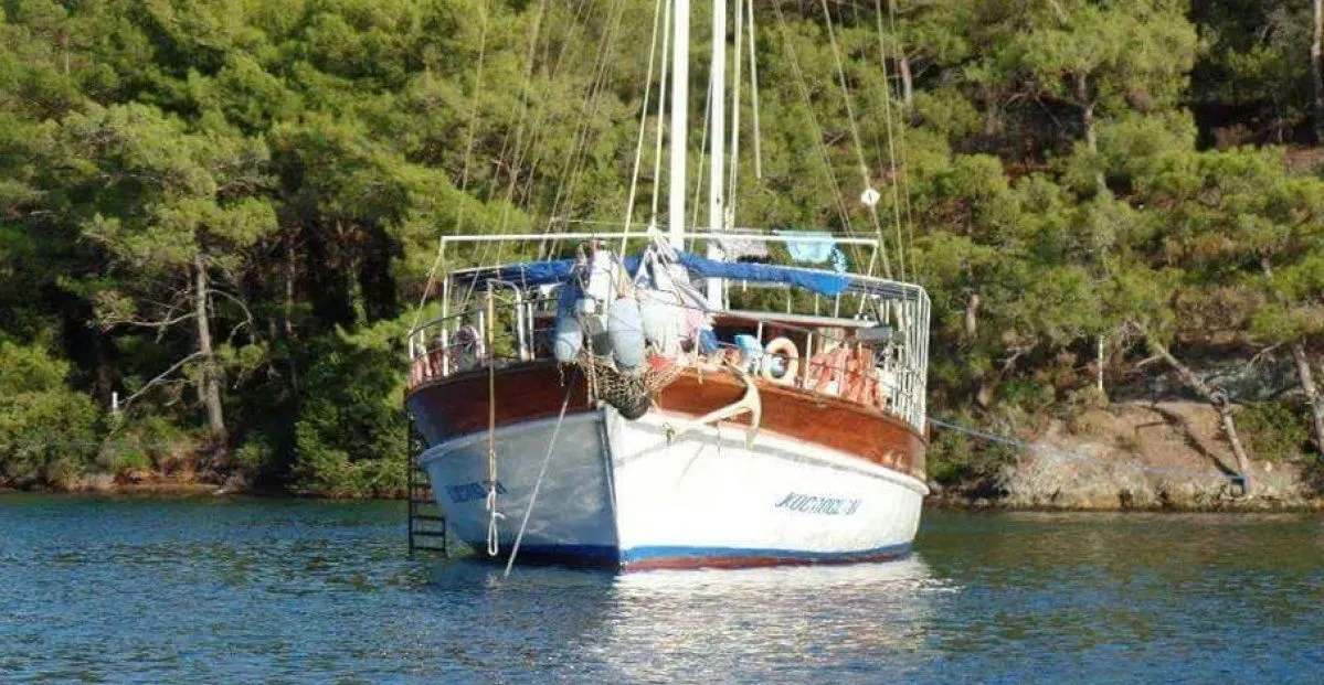 Чартер Kocaoglan - 5