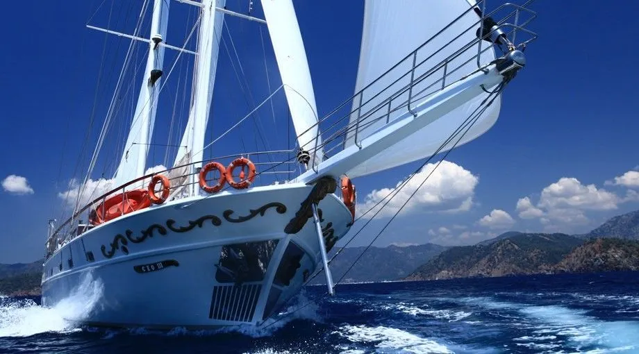 CEO 3 Charter Boat - 3