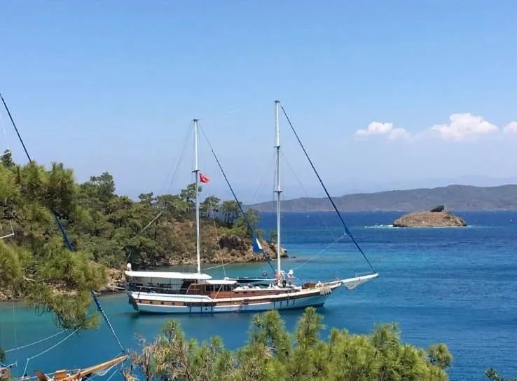 Чартер Blue Marlin - 3