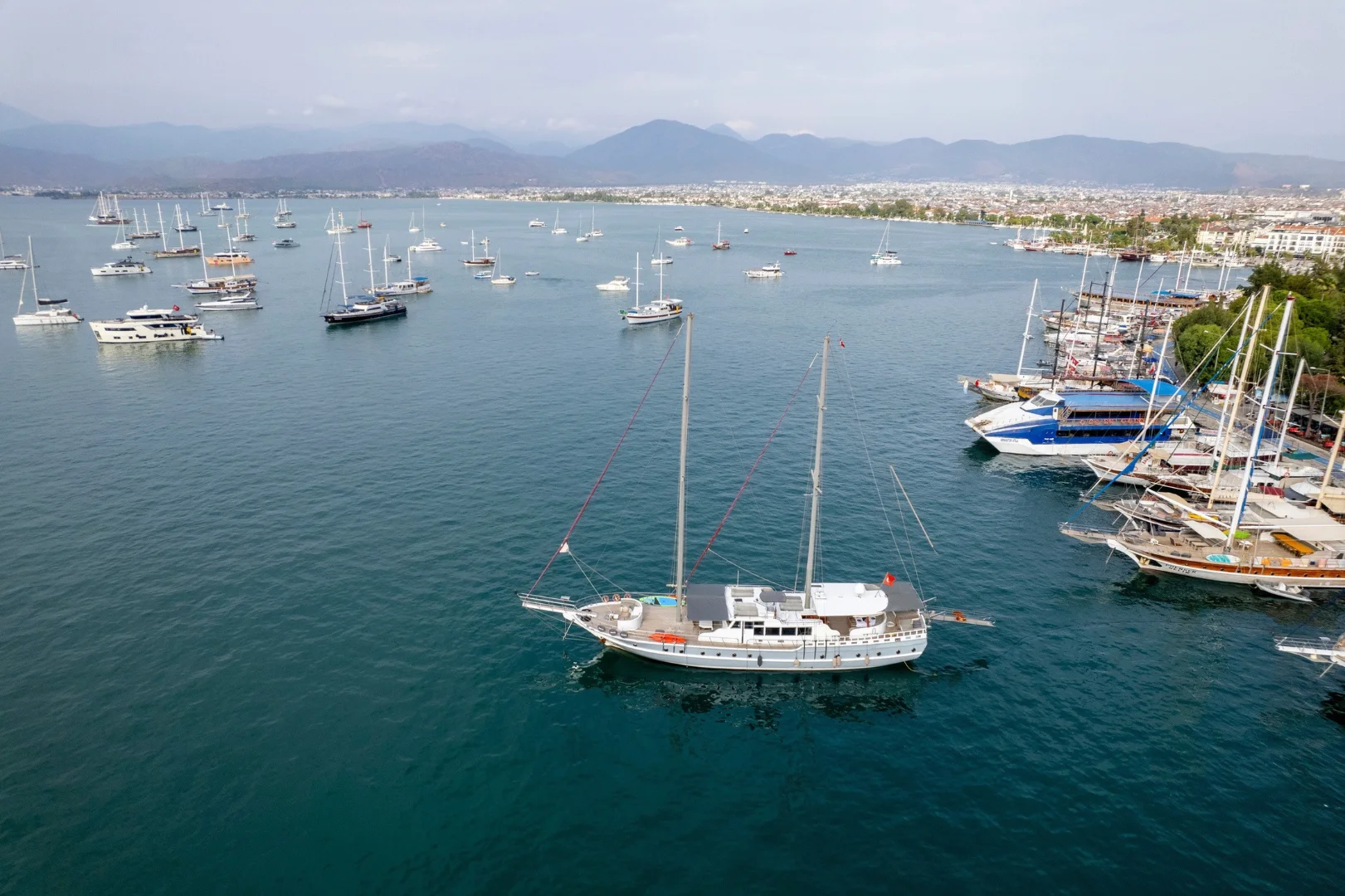 Diamond Lila Charterboot - 3