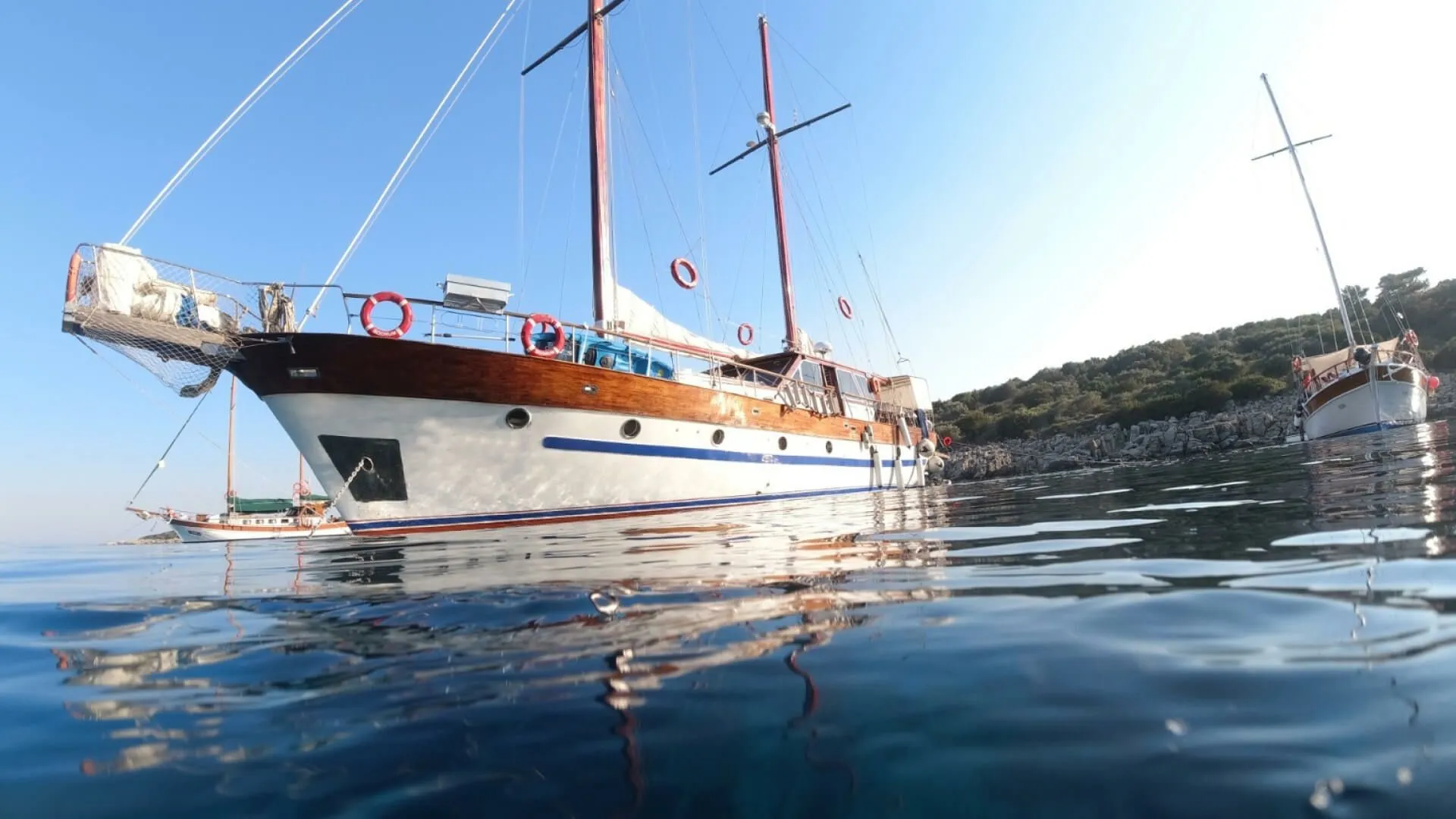 Seal 1 Charter Boat - 4
