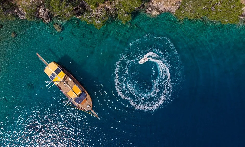 Чартер Elegance - 3