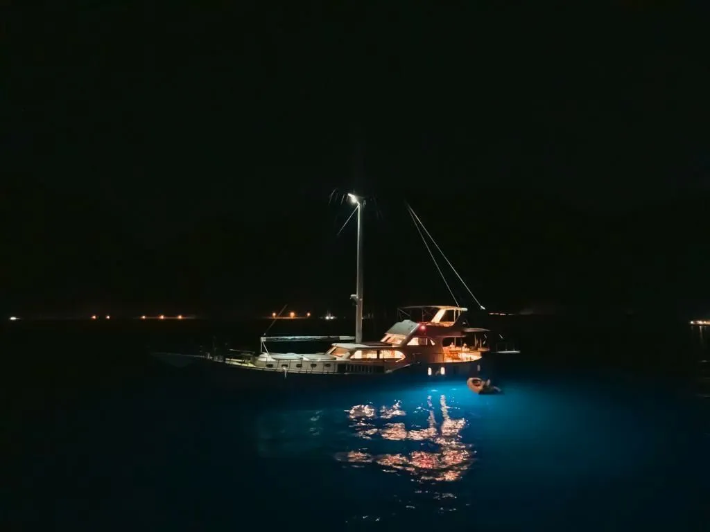 Чартер Ozde 1 - 4