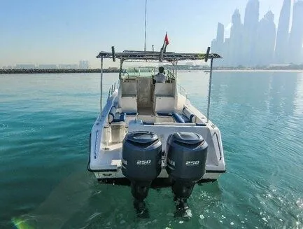 Чартер DT1191 - 4