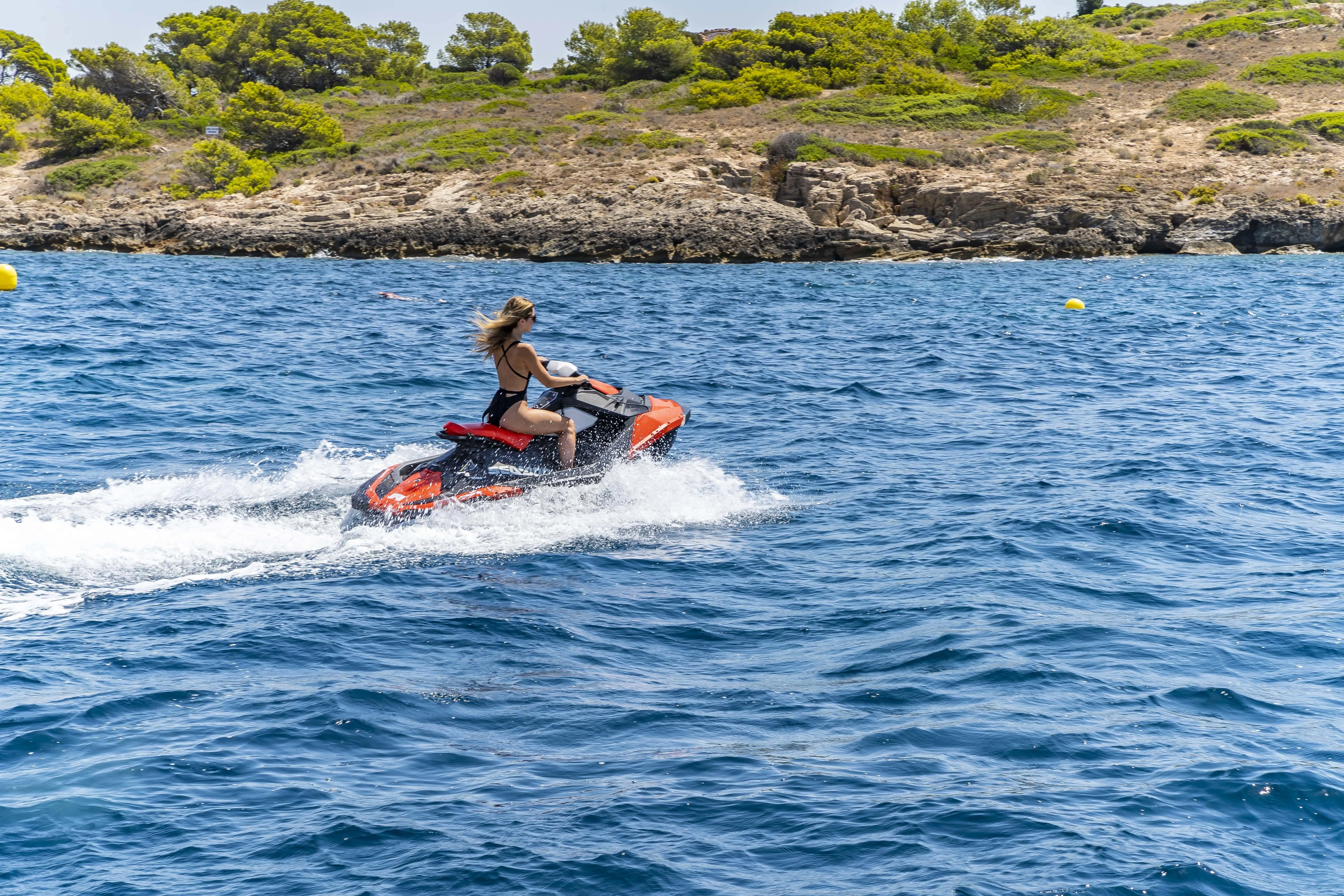 Чартер Parodia - 4