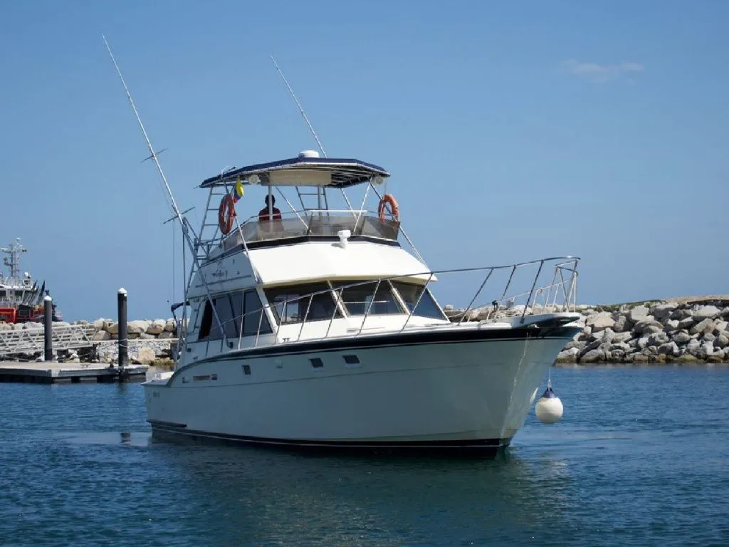 For Tuna Charter Boat