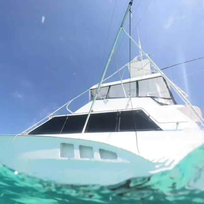 Hatteras Charterboot - 4