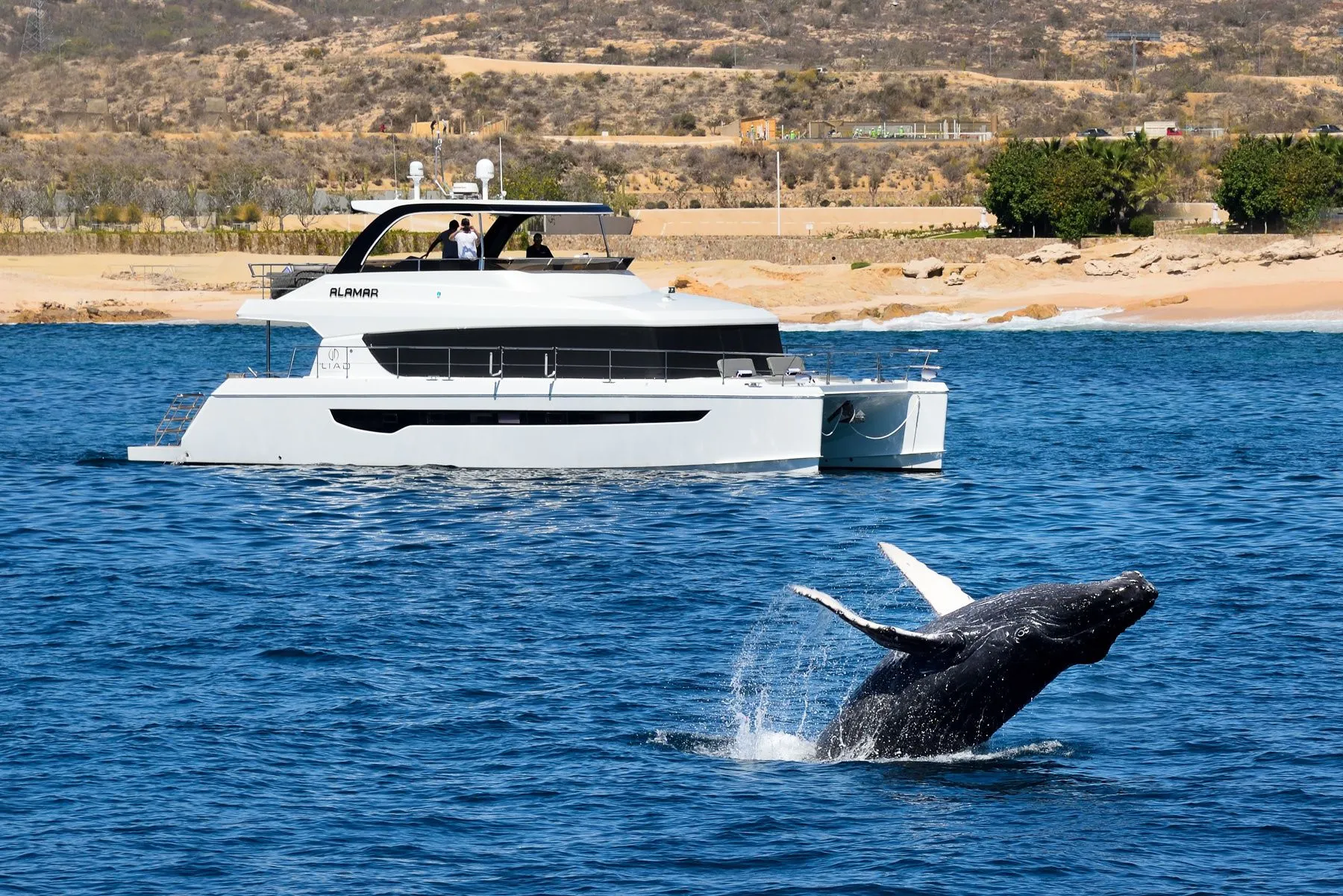 18.95m Cabo San Lucas Boat Hire