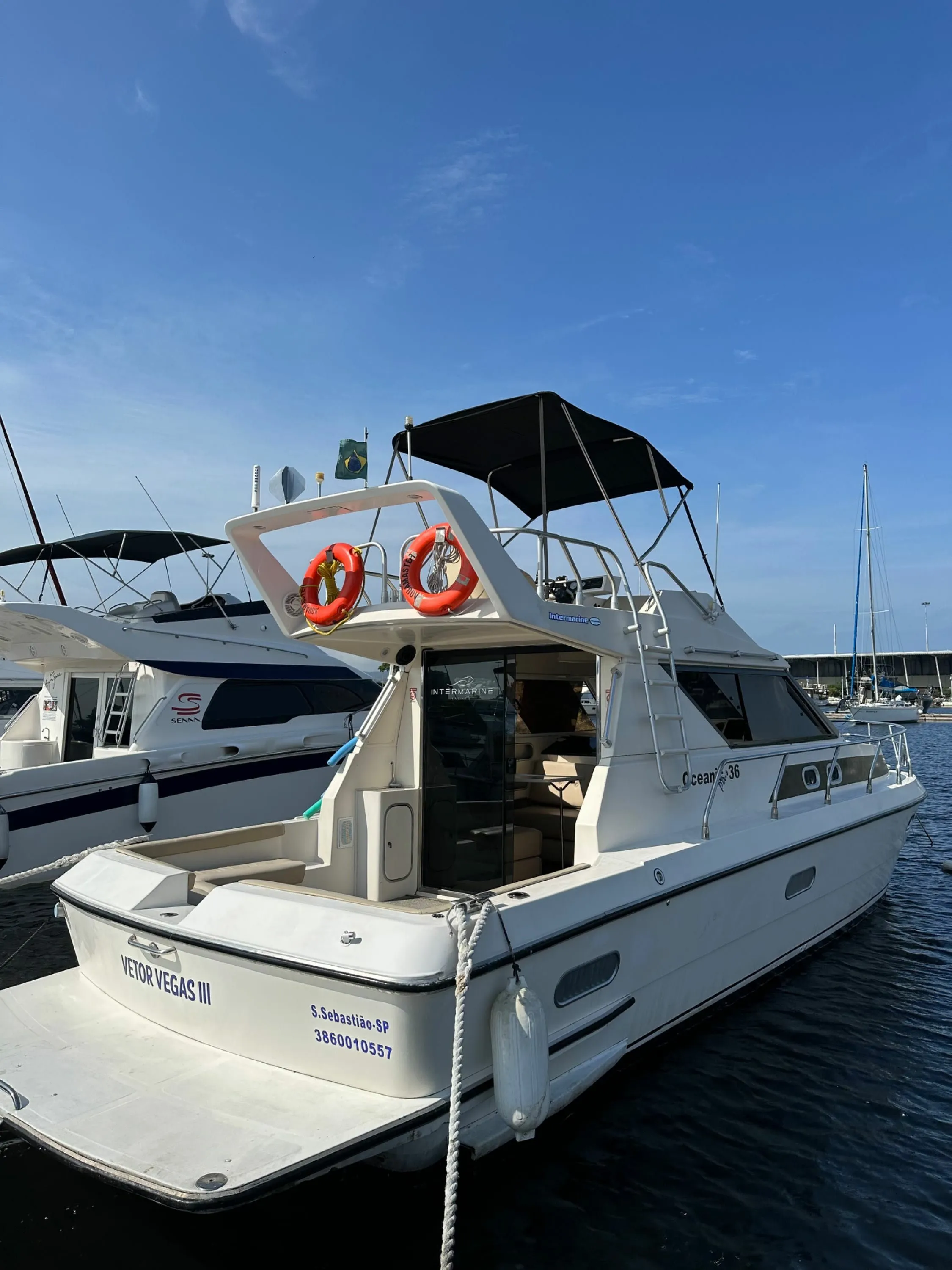 Vetor Vegas 3 Charter Boat - 4