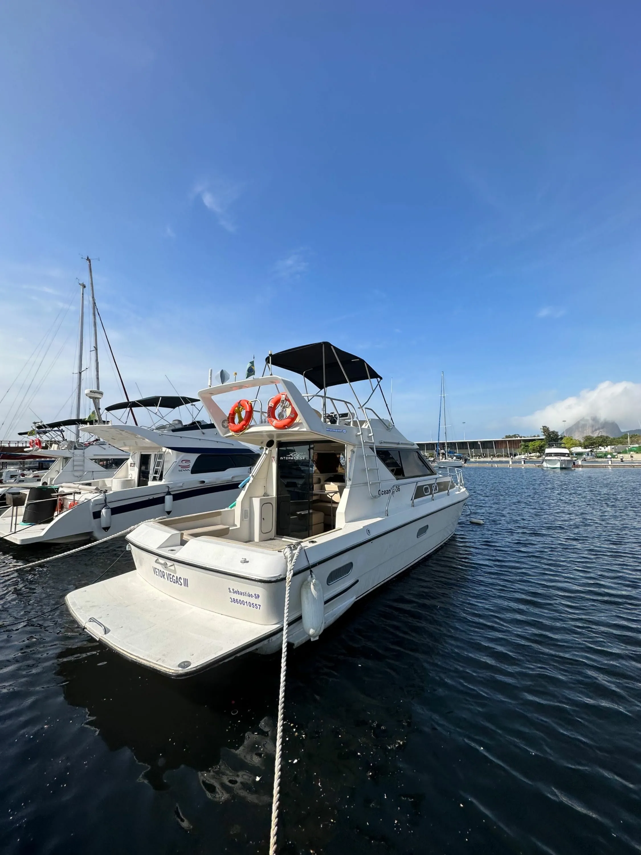 Vetor Vegas 3 Charter Boat - 2