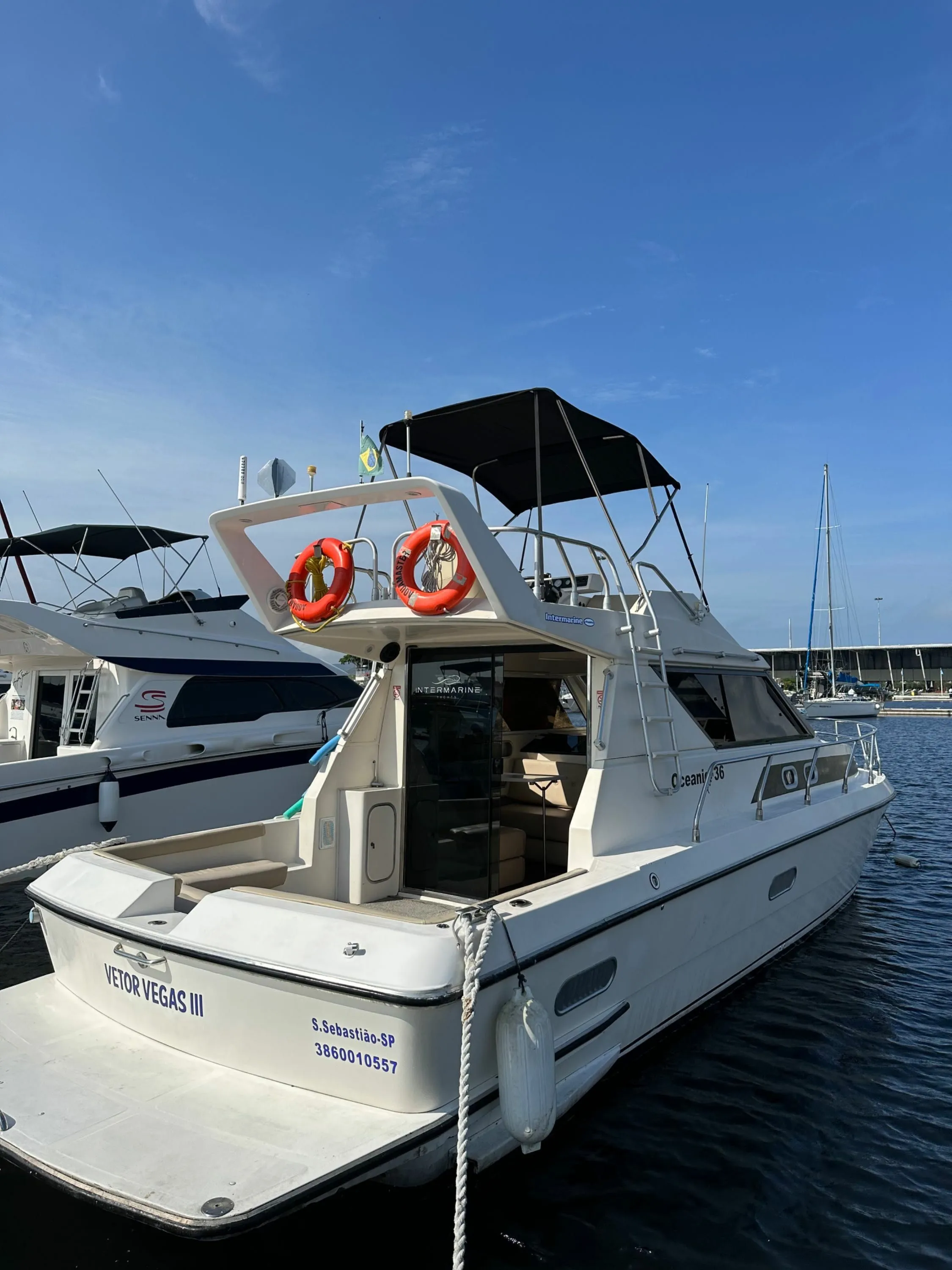 Vetor Vegas 3 Charter Boat - 5