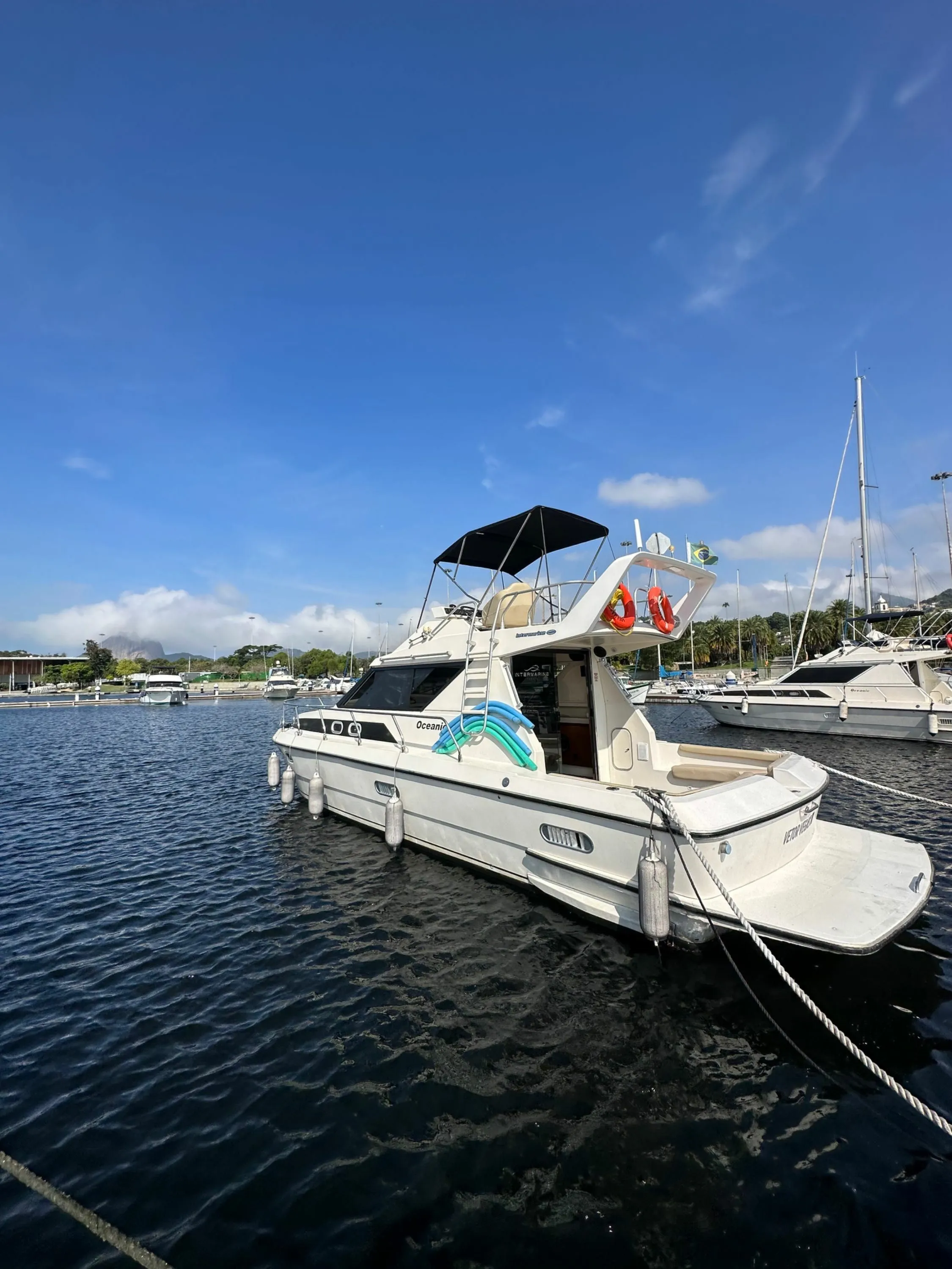 Vetor Vegas 3 Charter Boat - 3