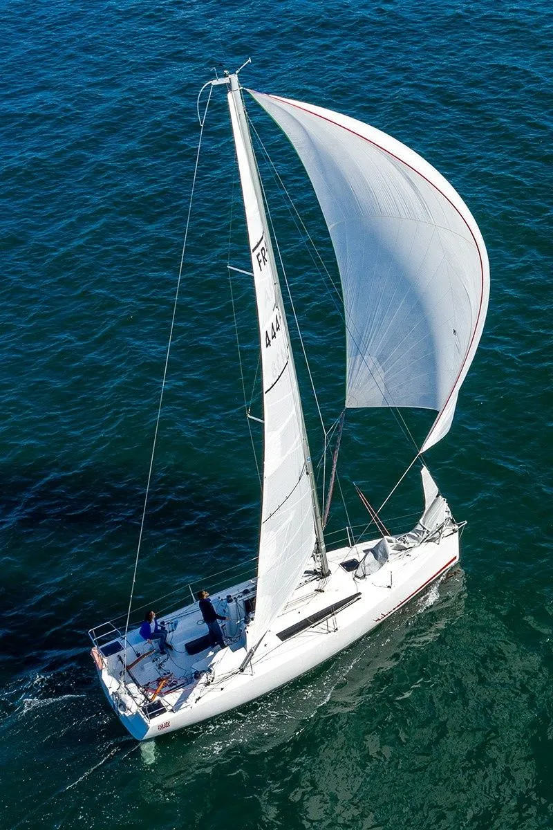 Чартер Gogox - 3