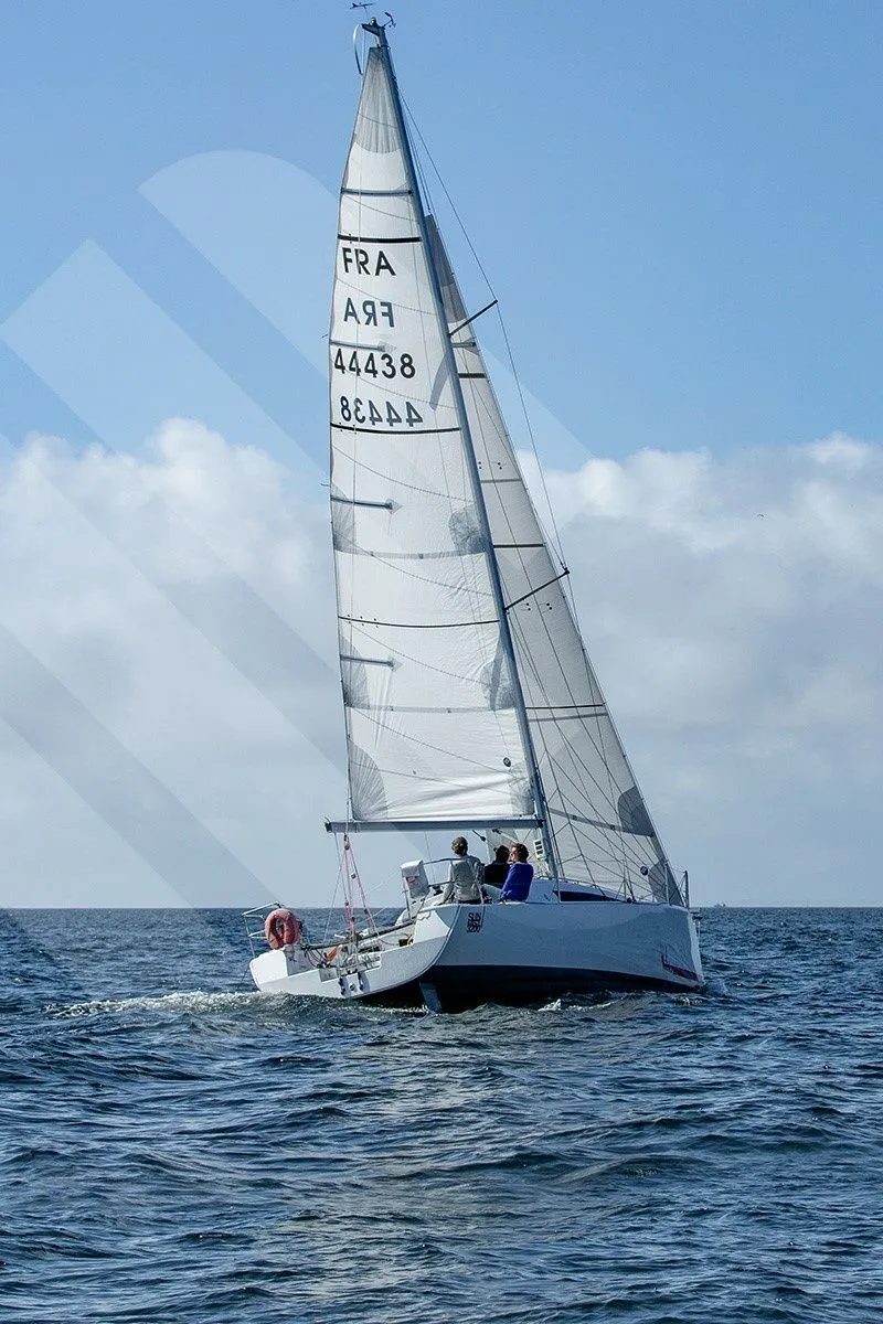 Чартер Gogox - 4